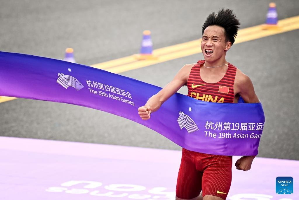 不仅因为格